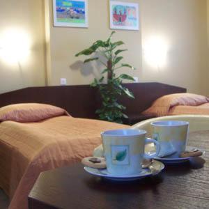 Arena Hotel Kaliszki 部屋 写真